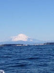 三浦の海から見た富士山.jpg