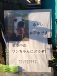 井戸2.jpg
