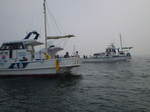 P7050008.JPG