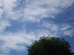 P9130022.JPG