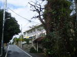 PA030002.JPG