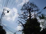 PA040008.JPG