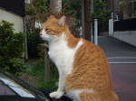PB090005.JPG