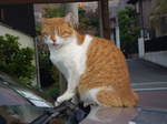PB090006.JPG