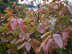 PB160008.JPG
