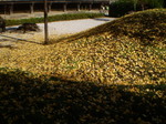 PB230015.jpg