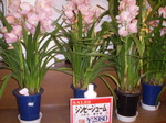 PB230029.jpg