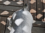 SSC_0009.jpg