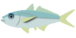 aji.gif