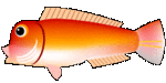 amadai.jpg