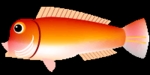 amadai.jpg