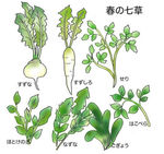 f9d3b587.jpg