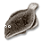 fish04s.gif