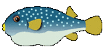 fugu.gif