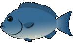 gure.gif