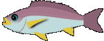 isagi.gif