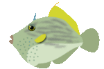 kawahagi.gif