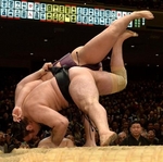 ssp20140124536view.jpg