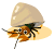 yado1.gif