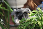 2010_10232010年10月0063.JPG