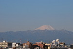 2011_03173月17日0008.JPG