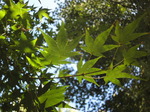 2011_11017月15日0009.JPG