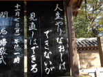 2011_11017月15日0011.JPG