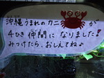 DSC00225.JPG