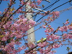 DSC00723.JPG