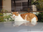 DSC01820.JPG