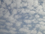 DSC01965.JPG
