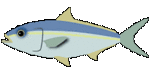 hamachi.gif